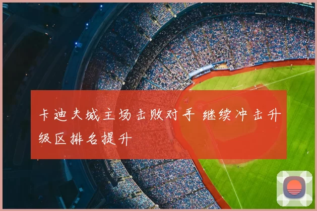 卡迪夫城主场击败对手 继续冲击升级区排名提升