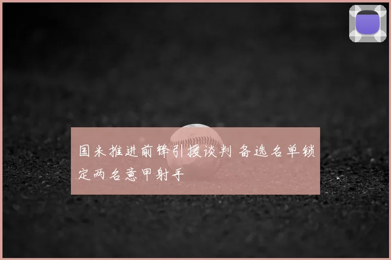 国米推进前锋引援谈判 备选名单锁定两名意甲射手