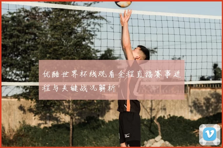 优酷世界杯线观看全程直播赛事进程与关键战况解析
