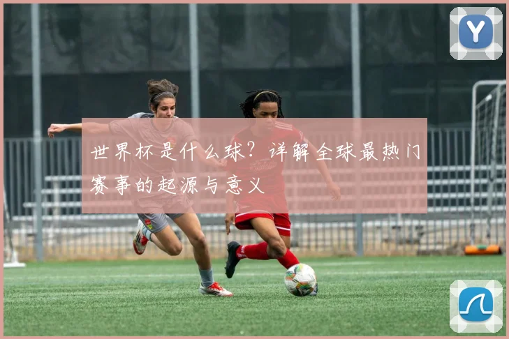 世界杯是什么球？详解全球最热门赛事的起源与意义