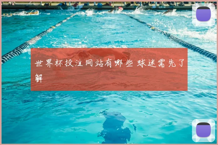 世界杯投注网站有哪些 球迷需先了解