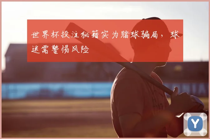 世界杯投注秘籍实为赌球骗局,球迷需警惕风险