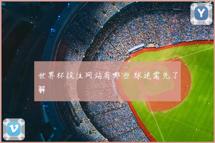世界杯投注网站有哪些 球迷需先了解