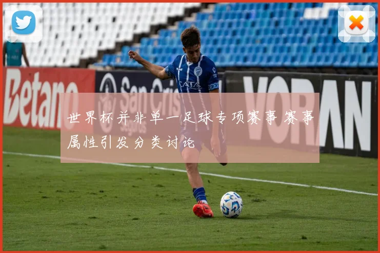 世界杯并非单一足球专项赛事 赛事属性引发分类讨论